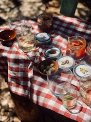 Visite de l’oliveraie avec pique-nique majorquin à Valldemossa